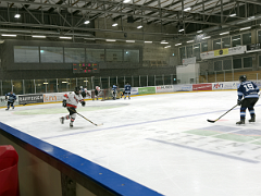 IMG 5295